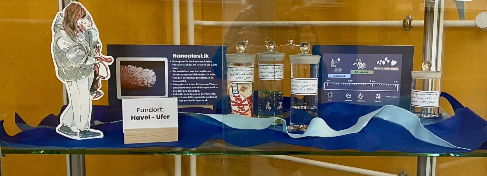 Exponate der Vitrinen-Ausstellung