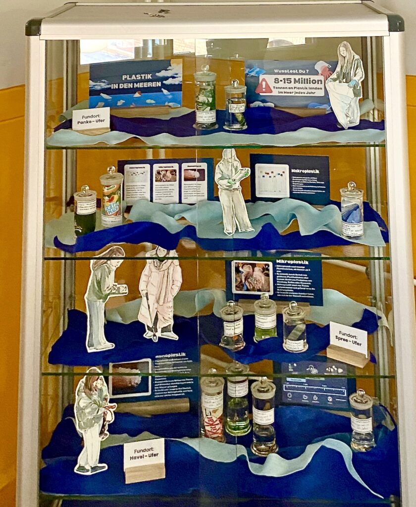 Exponate der Vitrinen-Ausstellung
