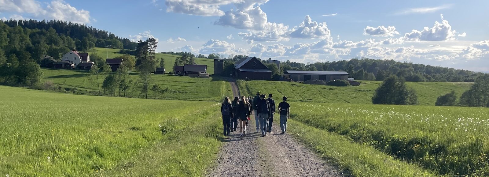 Auf Wanderung in der hügeligen Landschaft Schwedens