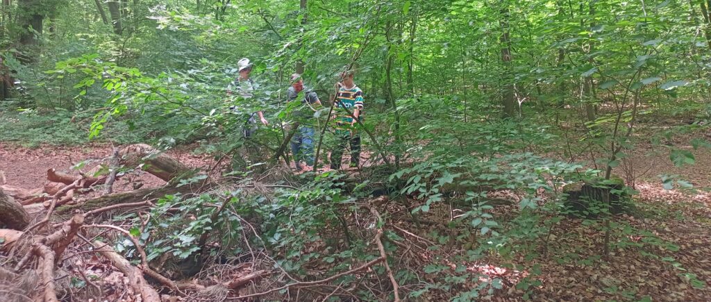 Schüler auf dem Weg durch den Wald