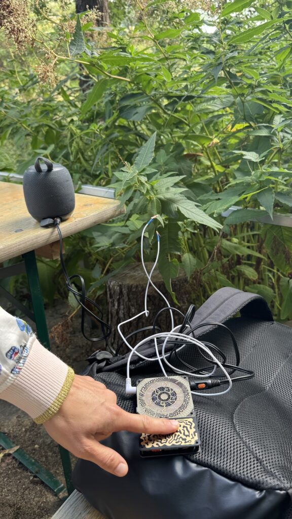Pflanzen im Britzer Garten werden belauscht